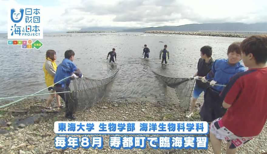 東海大学札幌キャンパスの臨海実習