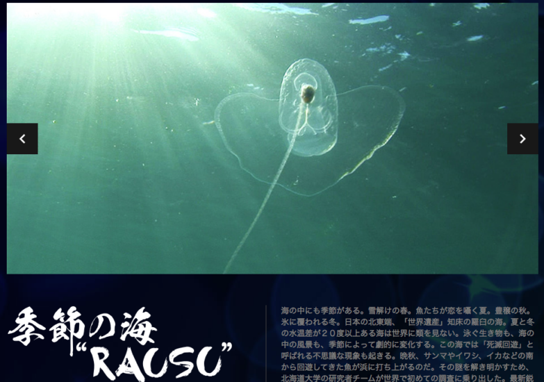 季節の海RAUSU の予告動画が見れます。