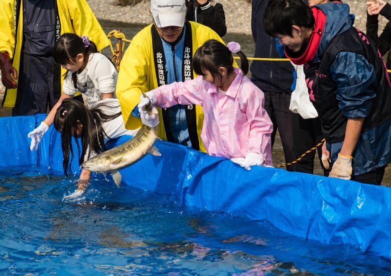 鮭の遡上が見れるかも！？🐟　11/3【北斗市・北斗市茂辺地さけまつり】