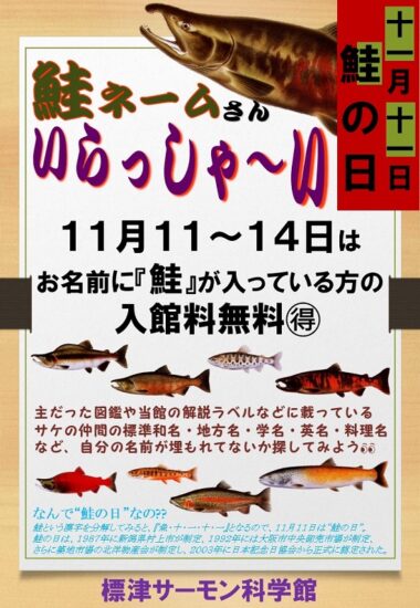 11月11日は『鮭の日』🐟 名前に「鮭」入っていませんか？【標津町】11/11～14