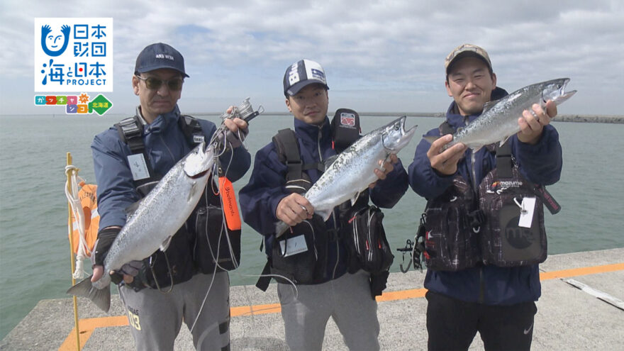 安心安全！有料海釣り施設🐟 HBCテレビ「サンデーDokiっと！」7/17放送