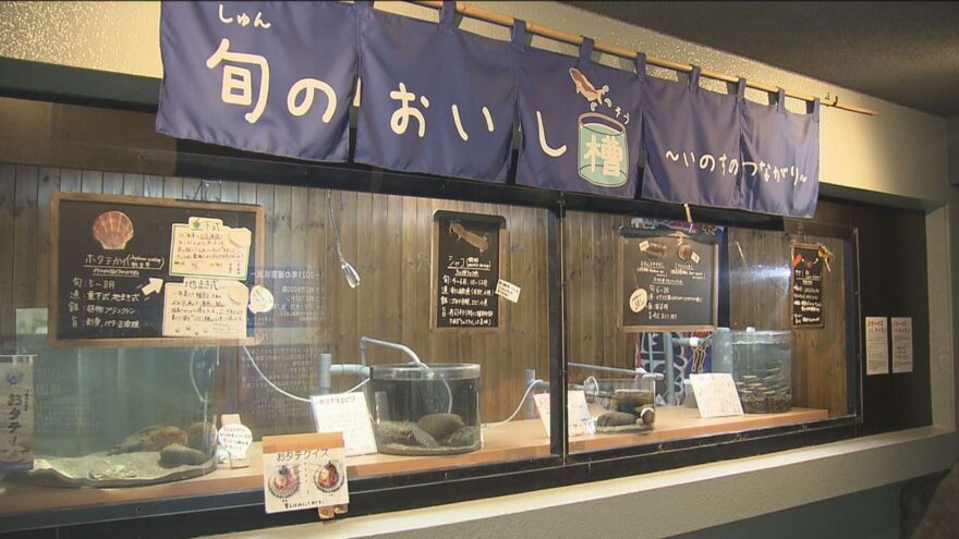 お寿司屋さん？いいえ、水族館です🐟 地元の海の幸をPR！HBCテレビ「グッチーな！」6/22放送