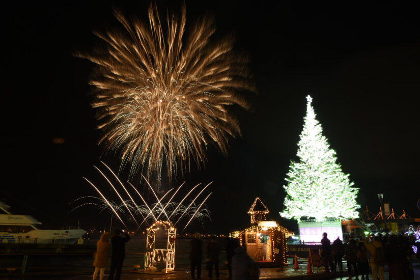 冬の風物詩🎄海上に浮かぶクリスマスツリー【函館市・2023はこだてクリスマスファンタジー】～12/25