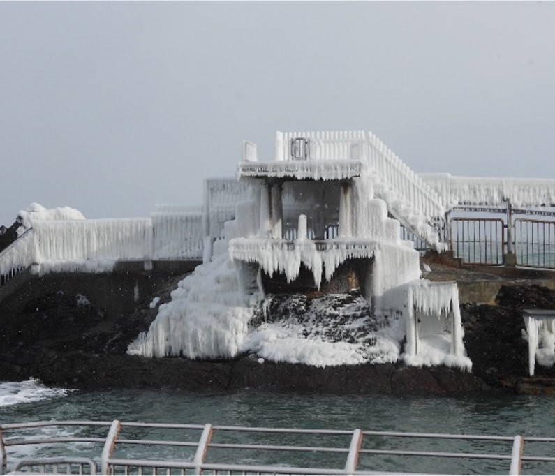 冬にしか見られない景色＆水族館の裏側⛄【小樽市 / おたる水族館ウィンターガイド】1月水・日曜日