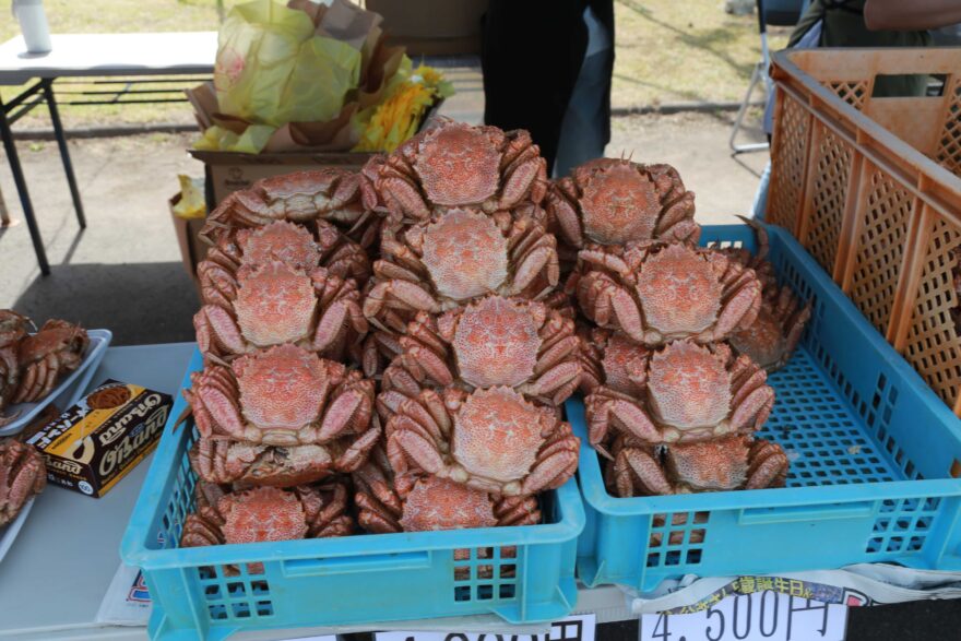 名物の毛がにを食べ尽くす！お祭り♪【長万部町 / おしゃまんべ毛がにまつり】6/28～29