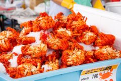 ” 花咲がに ” 三昧！心もお腹も満たされるお祭り【根室市 / 2025根室かに祭り】8/30・31