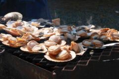 海の幸・山の幸の恵みに感謝するおまつり【佐呂間町 / サロマ大収穫祭】10/5