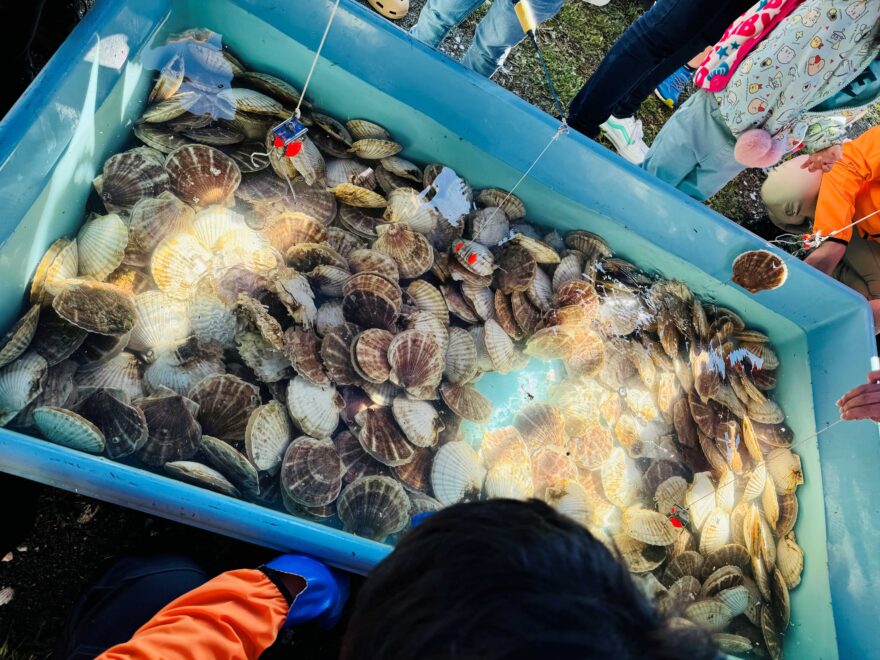 北海道名物料理が無料！？秋の幸が集う祭典【枝幸町 / よくばりフェスタ2025】10/5