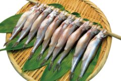 1市4町の名産品が一堂に集まる！【苫小牧市 / 第42回東胆振物産まつり】10/10～12