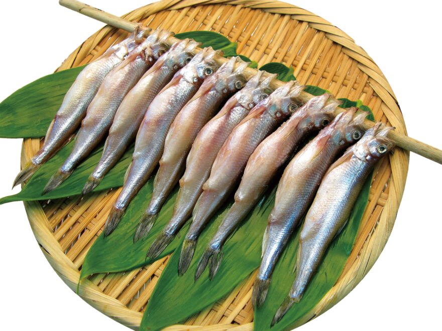 1市4町の名産品が一堂に集まる！【苫小牧市 / 第42回東胆振物産まつり】10/10～12