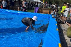 ご当地グルメがどーんと勢ぞろい！【伊達市 / 2025だて農業・漁業・大物産まつり】10/5