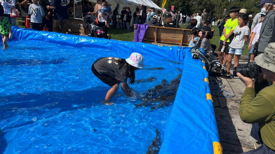 ご当地グルメがどーんと勢ぞろい！【伊達市 / 2025だて農業・漁業・大物産まつり】10/5