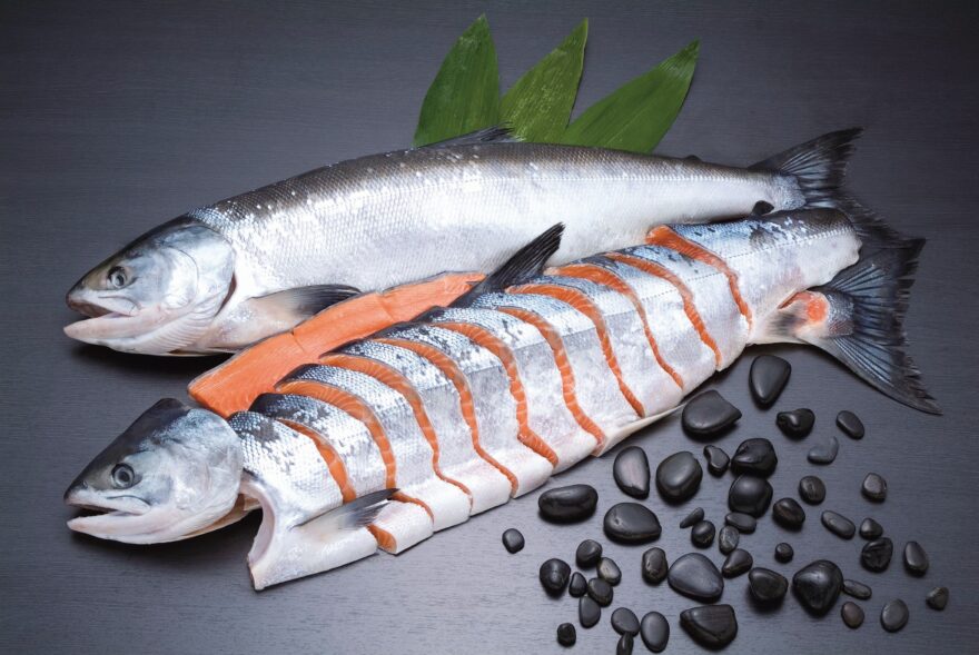 11月11日は『鮭の日』🐟鮭をお得にお買い物♪【札幌市 / 鮭の日感謝祭】11/8・9