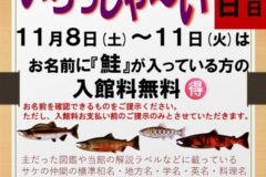 11月11日は『鮭の日』🐟名前にサケ科魚類の呼び名は入っていませんか？【標津町 / 鮭ネームさんいらっしゃ～い】11/8～11