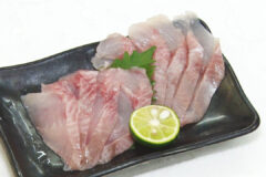 生食できるホッケを！白老町ホッケ陸上養殖！？ HBCテレビ「グッチーな！」11/20放送