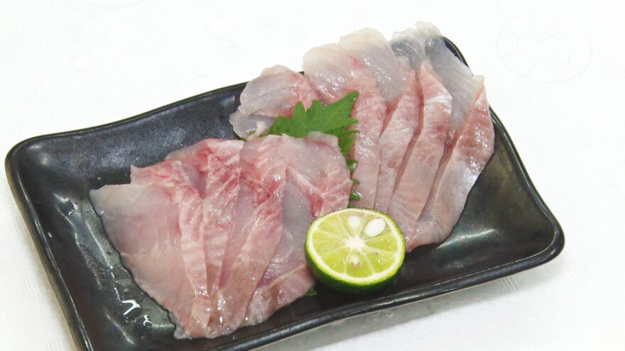 生食できるホッケを！白老町ホッケ陸上養殖！？ HBCテレビ「グッチーな！」11/20放送