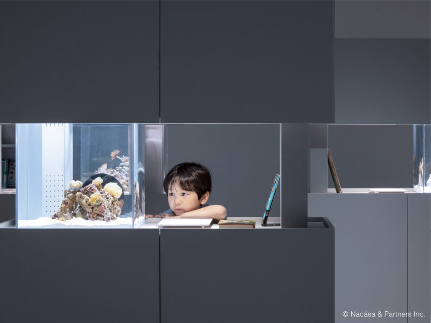 新しい展示方法が評価。水族館・動物園施設で北海道初受賞！【札幌市 / AOAO SAPPORO 】