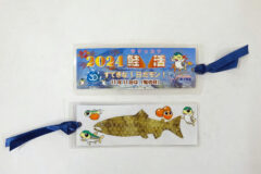 11月11日は『鮭の日』🐟 Let’s 鮭活🐟【千歳市 / 鮭活～サケとのふれあいを楽しもう！～】11/8、16、29