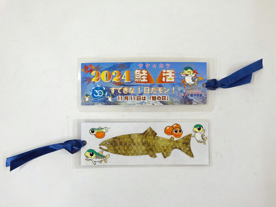 11月11日は『鮭の日』🐟 Let’s 鮭活🐟【千歳市 / 鮭活～サケとのふれあいを楽しもう！～】11/8、16、29