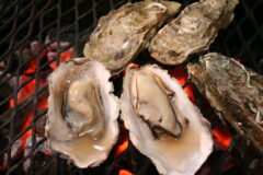 旨味たっぷりの ” 牡蠣 ” を堪能できるお祭り【厚岸町 / 第63回あっけし牡蠣まつり】11/15・16