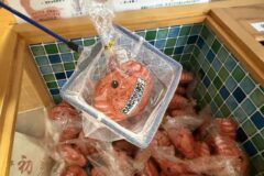 日本最北端の神社、「えじみくじ」で運試し【稚内市・北門神社】