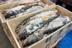 絶品グルメが集まる！海産物メインのお値打ちイベント♪【釧路市 / 第54回くしろ物産まつり】12/12～14