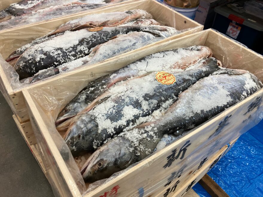 絶品グルメが集まる！海産物メインのお値打ちイベント♪【釧路市 / 第54回くしろ物産まつり】12/12～14