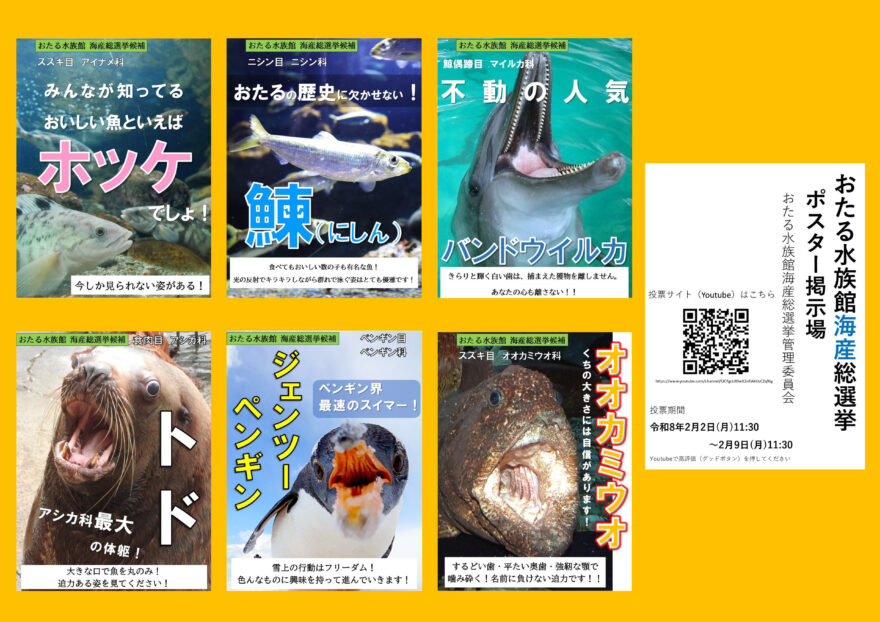 清き１票を！好きな生きものに👍いいね！【小樽市 / おたる水族館海産総選挙】2/2～7