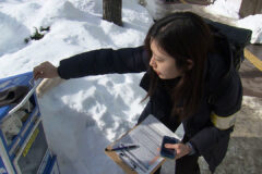 砂箱へのポイ捨て調査　HBCテレビ「夜のサタブラ」3/21放送